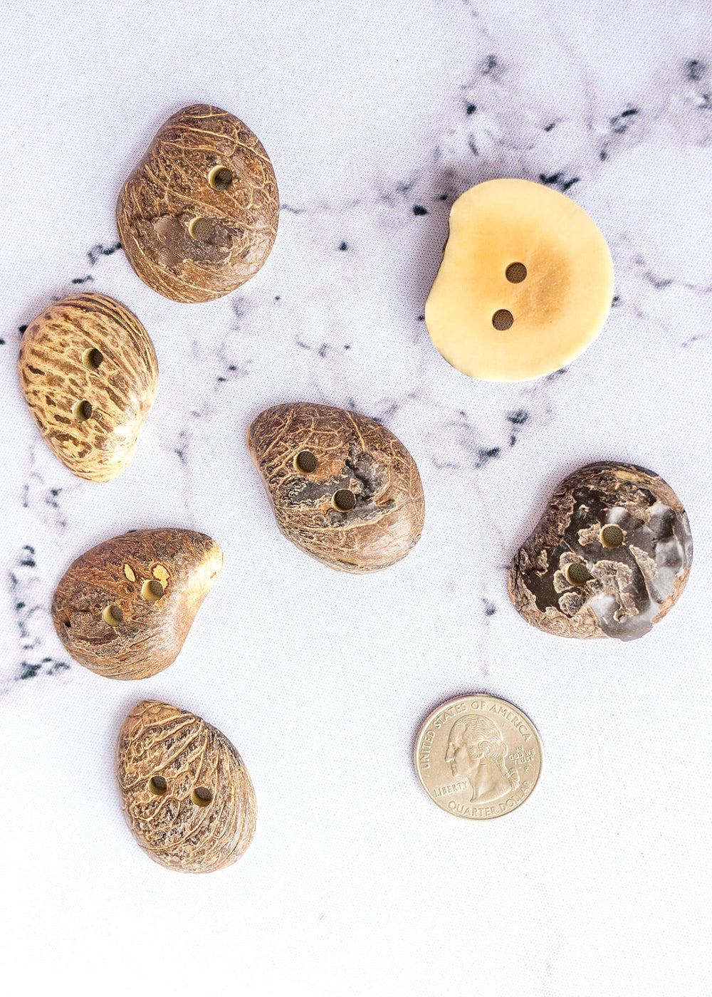 Handcrafted Avocado Pit Distressed 2 Hole Buttons - 48L