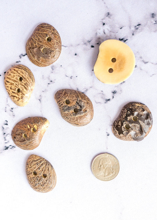 Handcrafted Avocado Pit Distressed 2 Hole Buttons - 48L