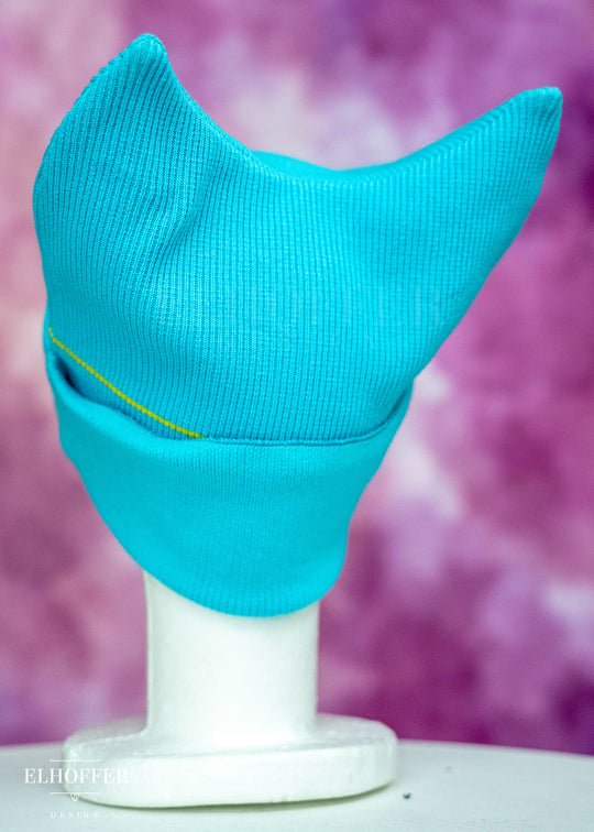 Pan Pride Ribbed Cat Ear Beanie