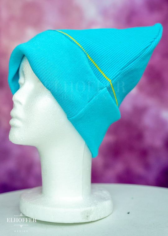 Pan Pride Ribbed Cat Ear Beanie