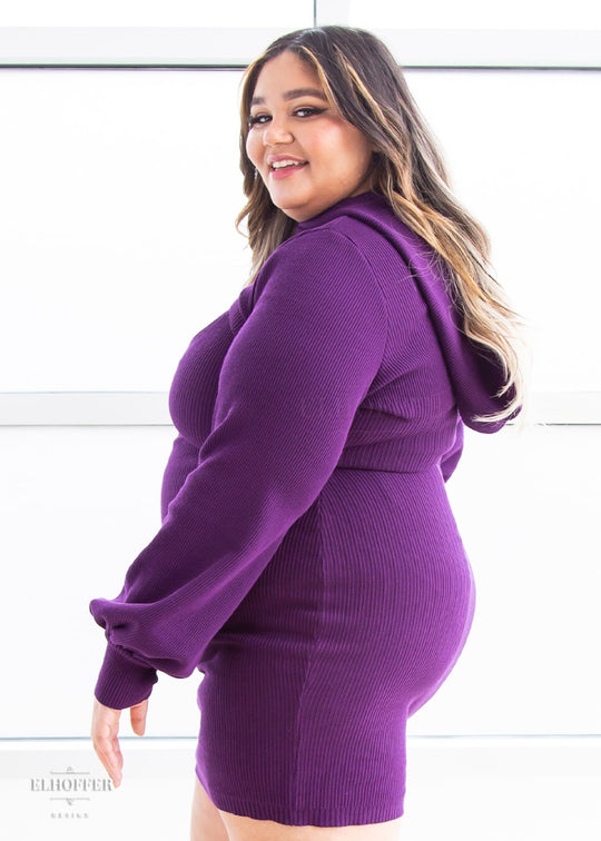 Retired Essential Capricorn Crop Hoodie - Sinister Purple Top