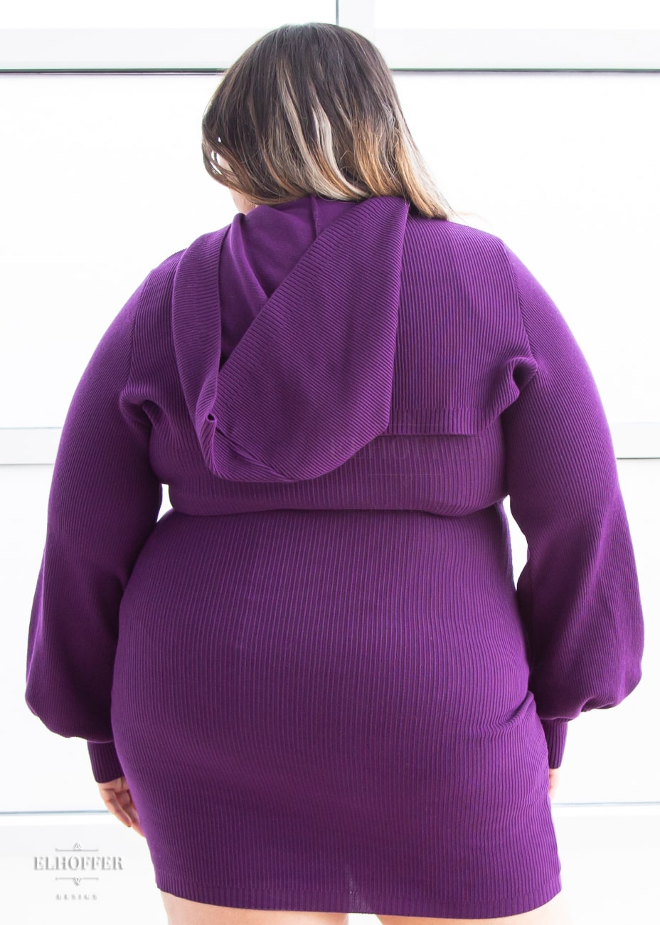 Retired Essential Capricorn Crop Hoodie - Sinister Purple Top