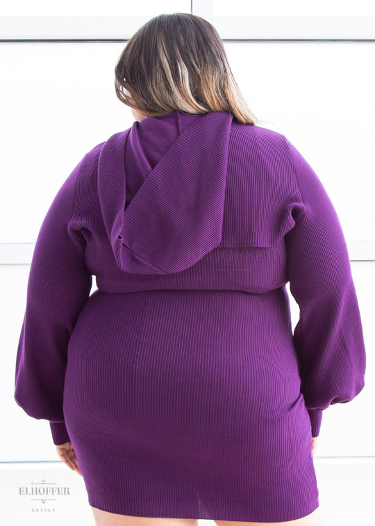 Retired Essential Capricorn Crop Hoodie - Sinister Purple Top